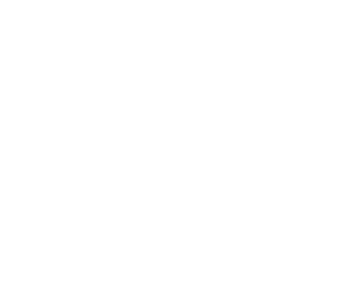 NOVEL FOODS